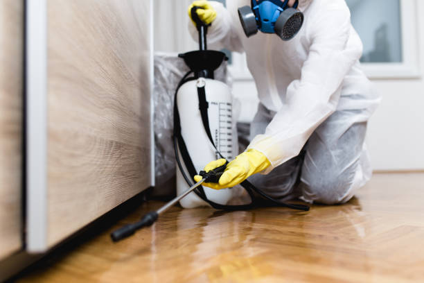 Best Termite Control Services  in Konawa, OK