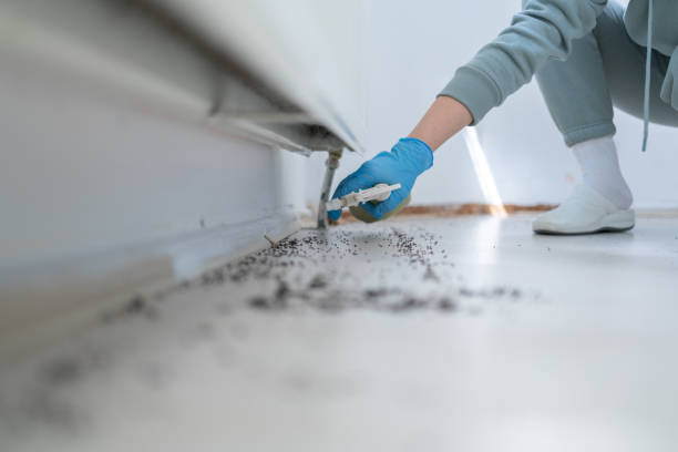 Best Flea Control Services  in Konawa, OK